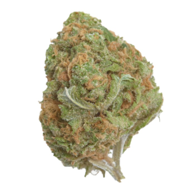 Growers Choice - Banana Glue