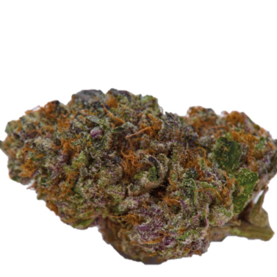 Growers Choice - Blue Dream Sherbet Auto