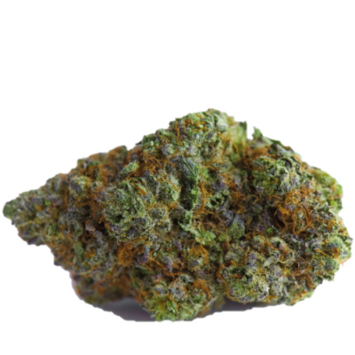 Growers Choice - Blue Forestberry Auto