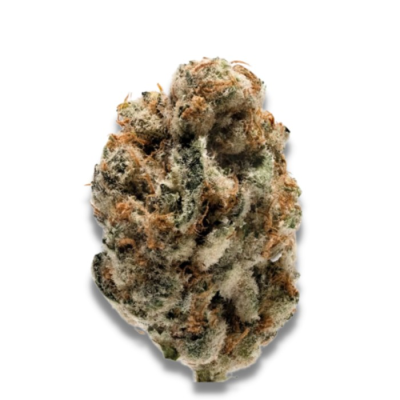 Growers Choice - KO Kush