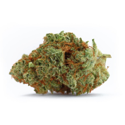 Growers Choice - Naranja Biscotti Fast Version