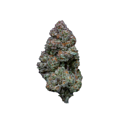 Growers Choice - RS11