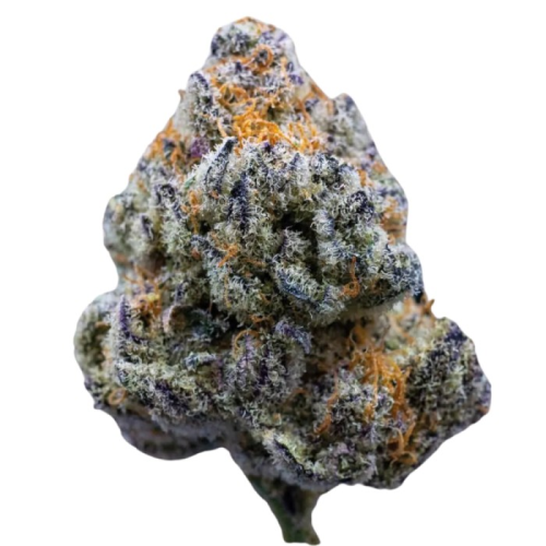 Growers Choice - Platinum Mimosa Cookies Fast Version