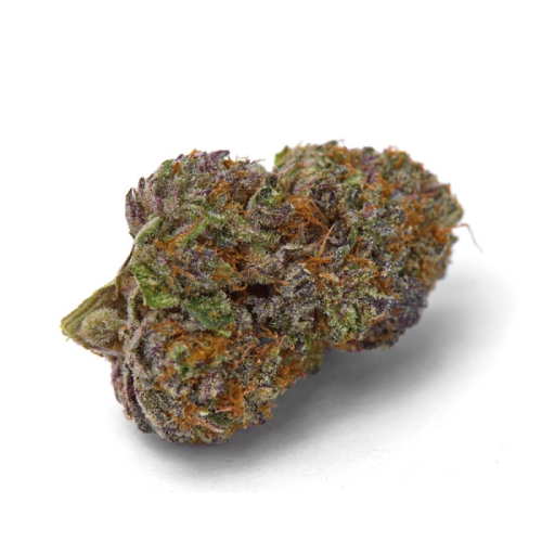 Growers Choice - Purple DosiPunch