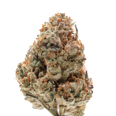 Growers Choice - Silvergrape Sherbet