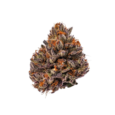 Growers Choice - Tropicana Cherry Triploid F1