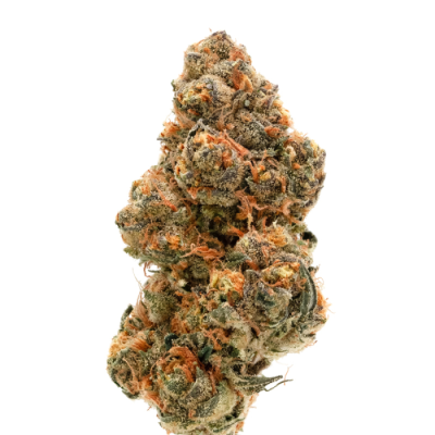 Growers Choice - Wedding Cake x Frosty Gelato Double XL Auto