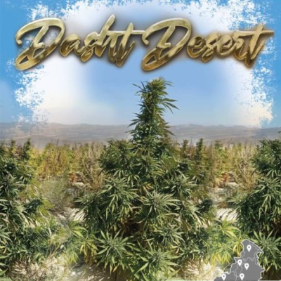 Landrace Warden - Dasht Desert regular