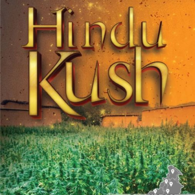 Landrace Warden - Hindu Kush regular