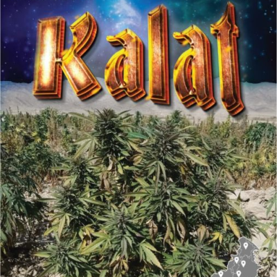 Landrace Warden - Kalat regular