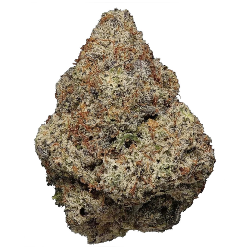 Highbreed Seeds - Super Saiyan Runtz Auto