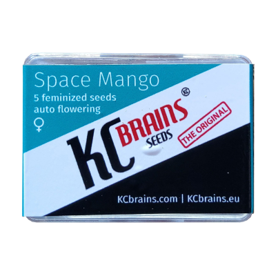KC Brains Seeds - Space Mango Auto