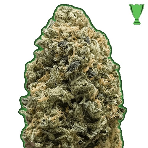 Monster Genetics - Monster Bruce Banner