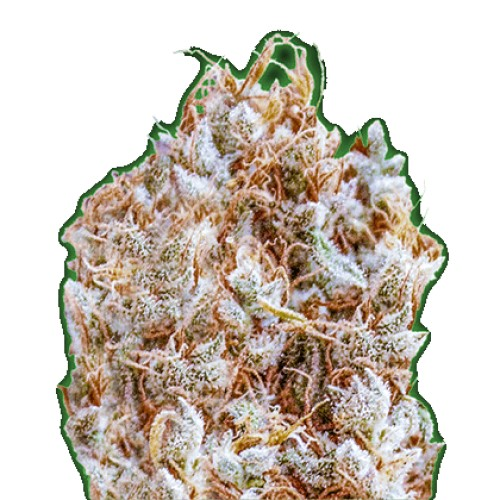 Monster Genetics - Monster Zkittles