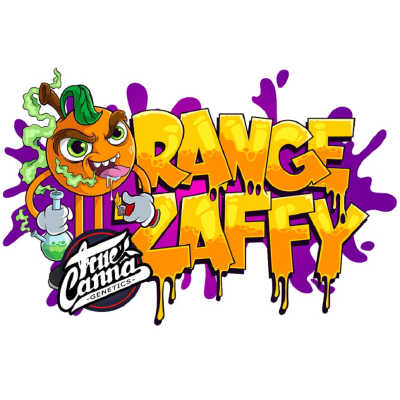 Nasha Genetics - ZOAP LINE - Orange Zaffy