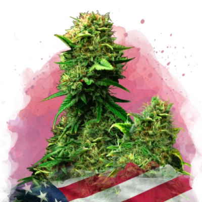 Nirvana - Blue Dream