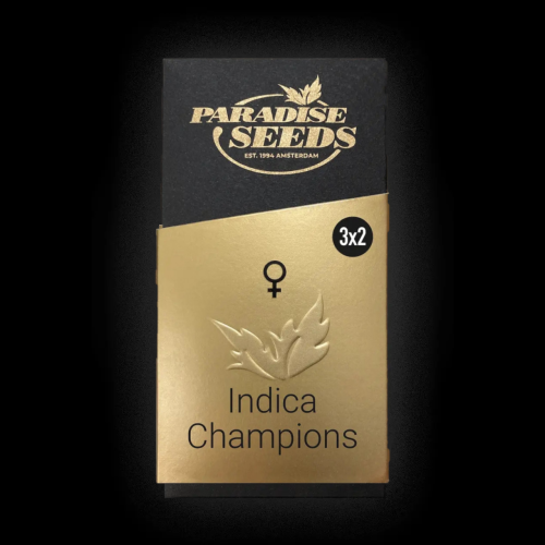 Paradise Seeds - Indica Champions