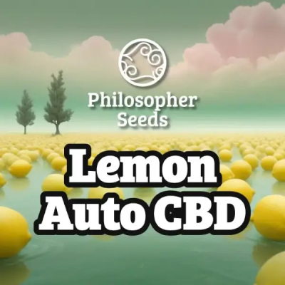 Philosopher Seeds - Lemon Auto CBD