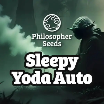 Philosopher Seeds - Sleepy Yoda Auto