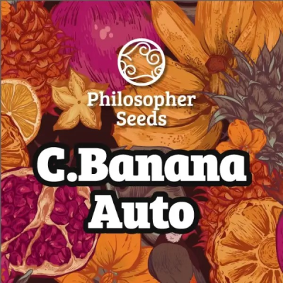 Philosopher Seeds - C Banana Auto