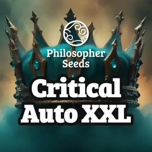 Philosopher Seeds - Critical Auto XXL