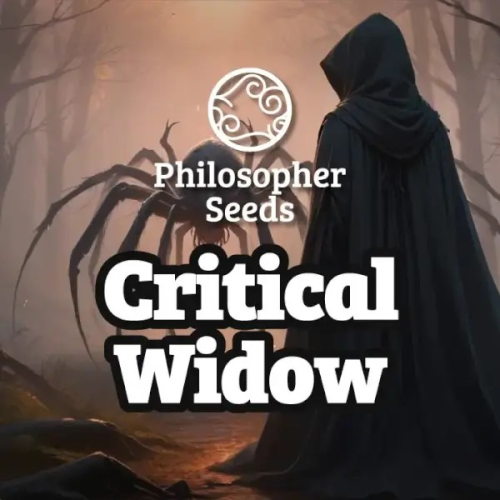 Philosopher Seeds - Critical Widow