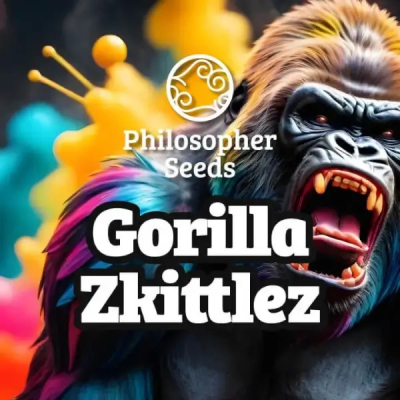 Philosopher Seeds - Gorilla Zkittlez