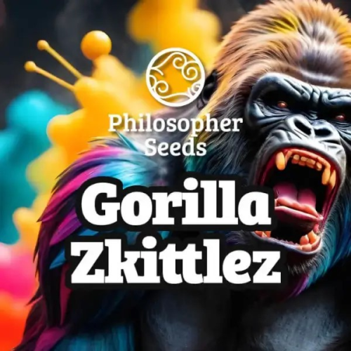 Philosopher Seeds - Gorilla Zkittlez
