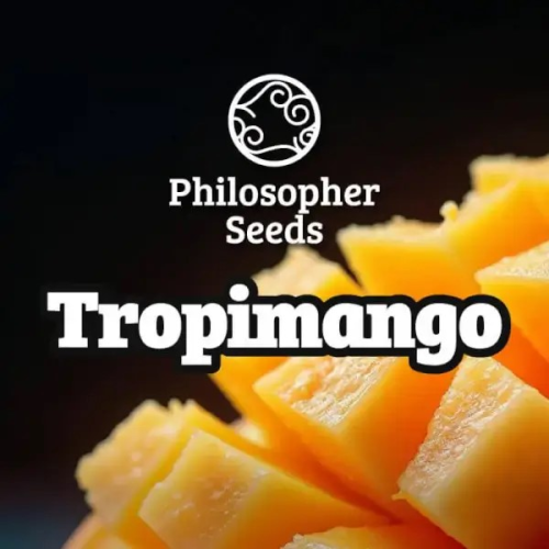 Philosopher Seeds - Tropimango