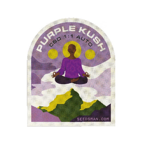 Seedsman - Purple Kush CBD 1:1 Auto