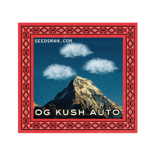 Seedsman - OG Kush Auto