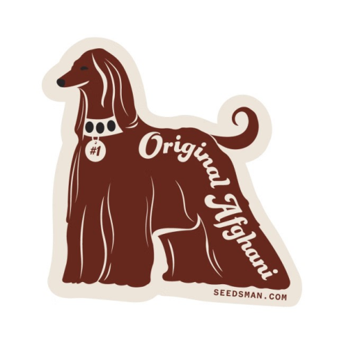 Seedsman - Original Afghani #1 regular