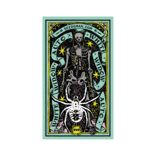 Seedsman - White Widow Auto