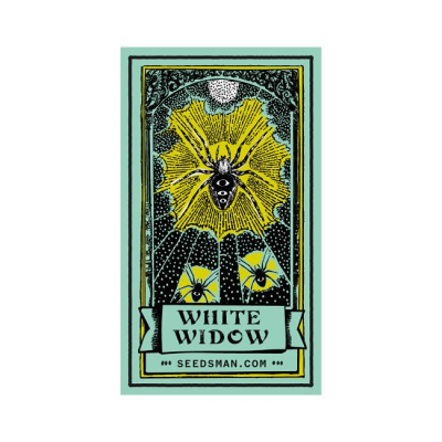 Seedsman - White Widow regular