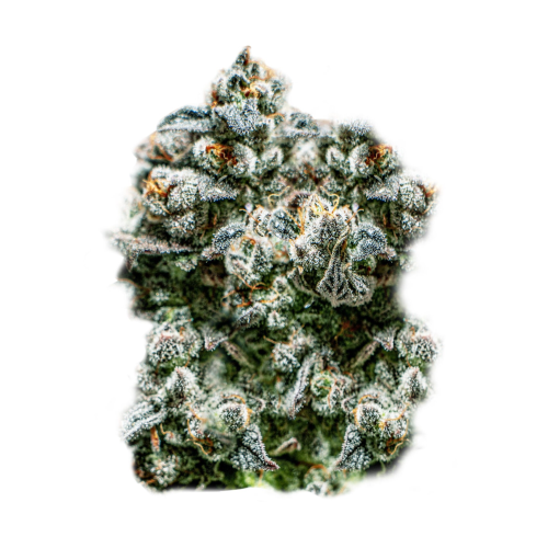 Super Strains - Runtz auto