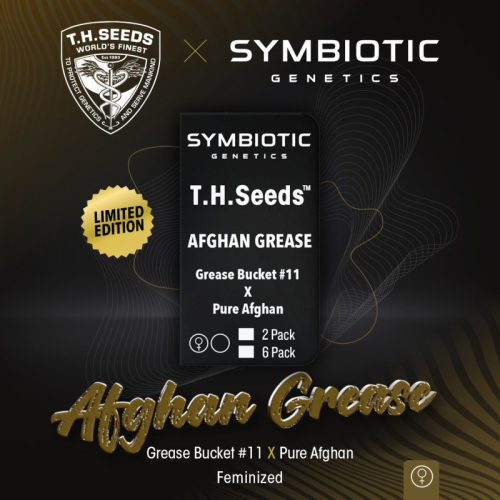 T.H. Seeds - Afghan Grease