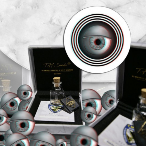 T.H. Seeds - MK-Ultra Cake regular