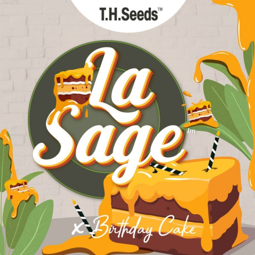 T.H. Seeds - LA S.A.G.E. Cake regular