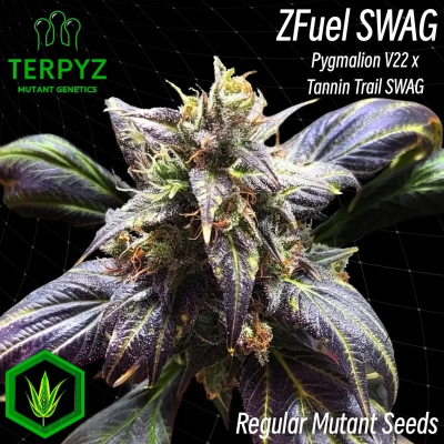 TerpyZ Mutant Genetics - Zfuel Swag regular