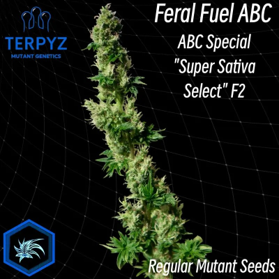 TerpyZ Mutant Genetics - Feral Fuel ABC regular
