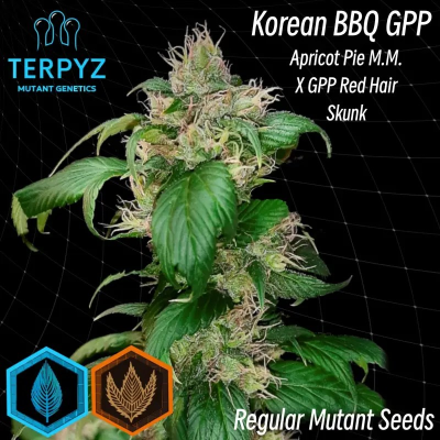 TerpyZ Mutant Genetics - Korean BBQ GPP regular