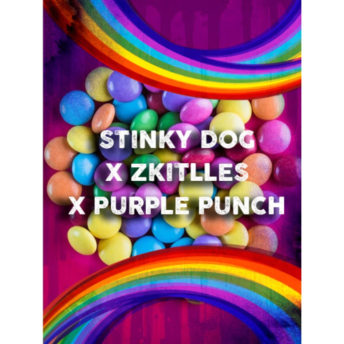 Tramuntana Seeds - Stinky Dog-Skittles x Purple Punch