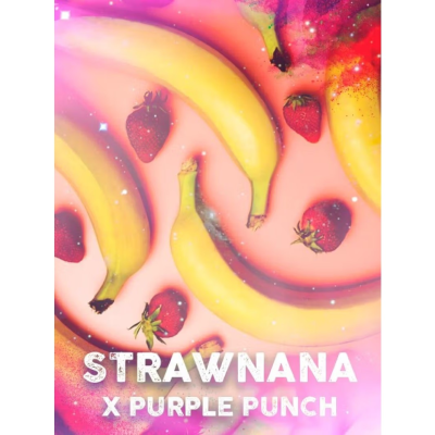 Tramuntana Seeds - Strawnana x Purple Punch