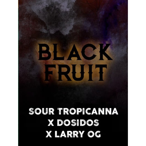 Tramuntana Seeds - Black Fruit