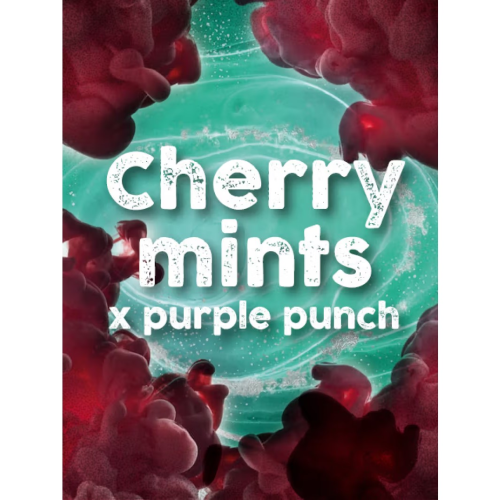 Tramuntana Seeds - Cherry Mints x Purple Punch