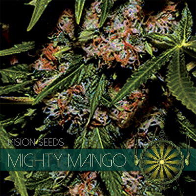 Vision Seeds - Mighty Mango Bud