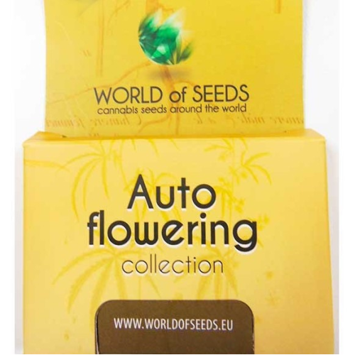 World of Seeds - Autoflowering Collection