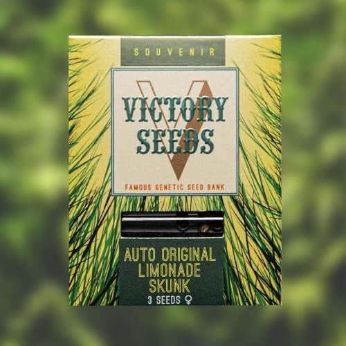 Victory Seeds - Auto Original Limonade Skunk