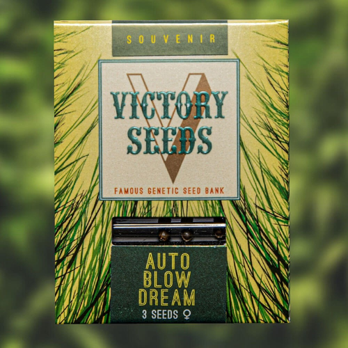 Victory Seeds - Auto Blow Dream
