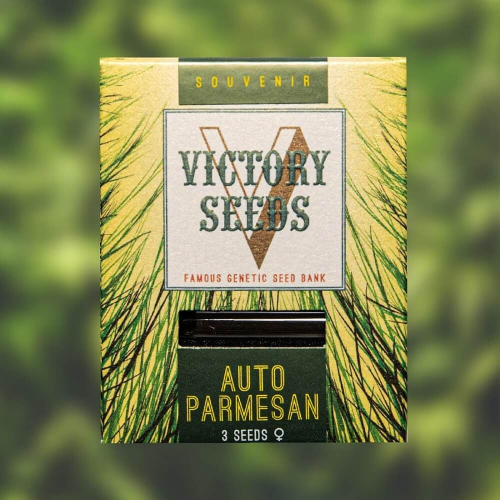 Victory Seeds - Auto Parmesan